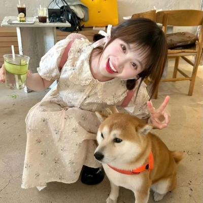 新恶魔岛